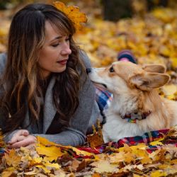 Mirada de perros: Los benéficos efectos de mirar a tu 'peludito'