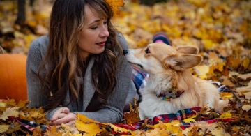Mirada de perros: Los benéficos efectos de mirar a tu 'peludito'