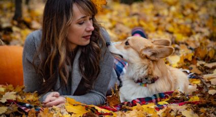 Mirada de perros: Los benéficos efectos de mirar a tu 'peludito'
