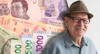 Pensión IMSS: Pasos clave para evitar errores y asegurar la pensión completa