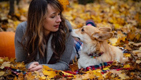 Mirada de perros: Los benéficos efectos de mirar a tu 'peludito'