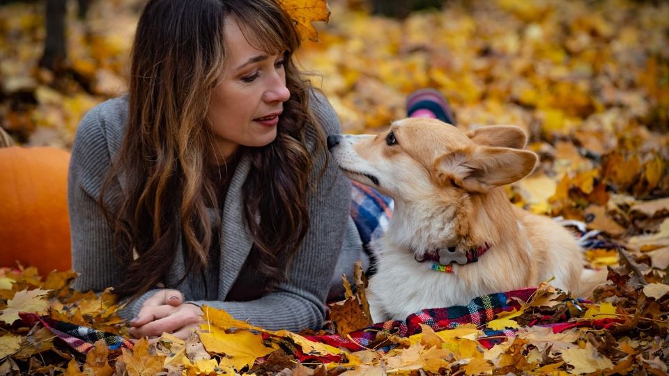 Mirar a tu perro puede resultar muy benéfico para ambos.