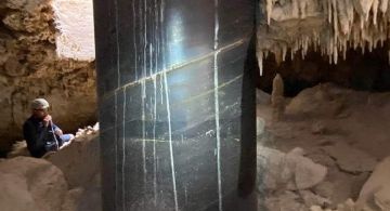 Misión de Observación del Tren Maya: Militarización, ecocidio y despojo