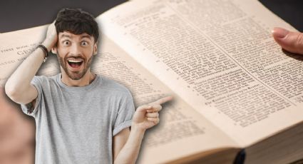 “Rage bait”: ¿Qué significa la palabra del año 2025 elegida por Oxford?