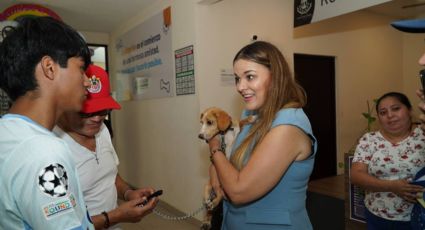 Ayuntamiento de Mérida realiza jornada de esterilización para perros en condición de calle.