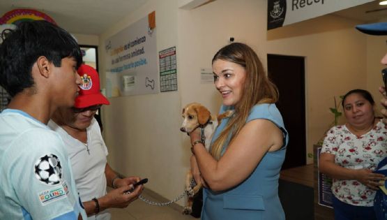 Ayuntamiento de Mérida realiza jornada de esterilización para perros en condición de calle.