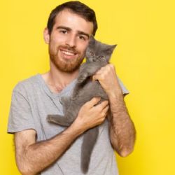 Universidad de Viena revela que los gatos manipulan a los hombres