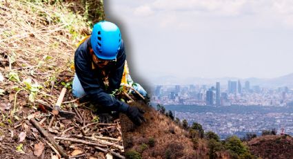 ¿Esperanza en Tlalpan? 29 restos encontrados elevan la búsqueda de desaparecidos