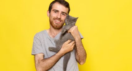 Universidad de Viena revela que los gatos manipulan a los hombres