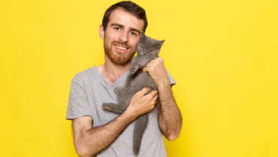 Universidad de Viena revela que los gatos manipulan a los hombres