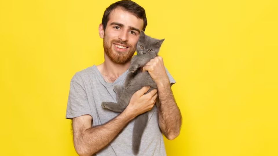 Universidad de Viena revela que los gatos manipulan a los hombres