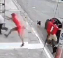 VIDEO | Abuelito iba a ser secuestrado, pero sus perritos lo defienden y se hacen virales