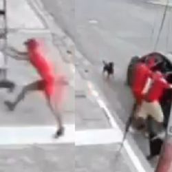 VIDEO | Abuelito iba a ser secuestrado, pero sus perritos lo defienden y se hacen virales