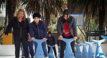 Navidad 2025: ¿Dónde habrá pistas de hielo gratuitas en CDMX?
