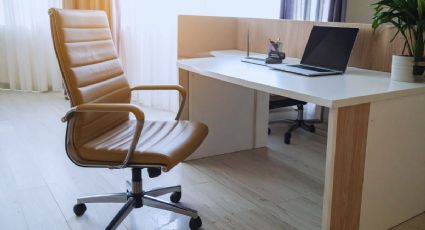 Ley silla: ¿por qué este 14 de diciembre es fecha clave?