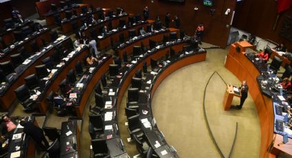 PT propone crear un Registro de Menores Huérfanos por Feminicidio en el Senado