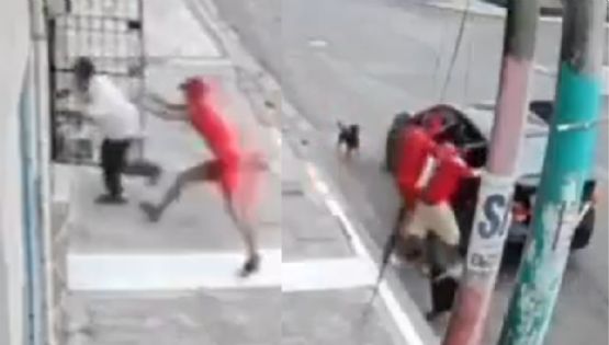 VIDEO | Abuelito iba a ser secuestrado, pero sus perritos lo defienden y se hacen virales