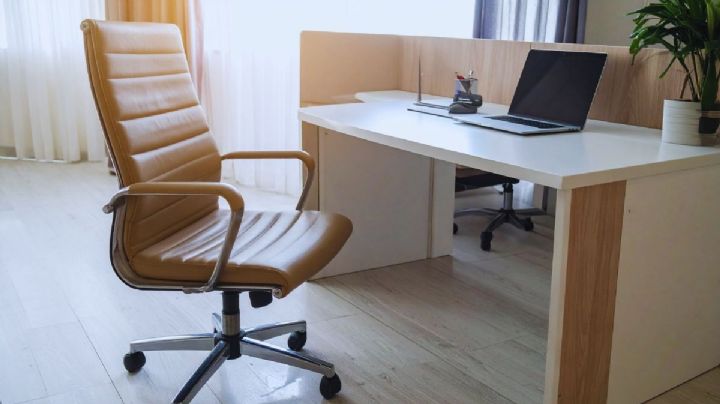 Ley silla: ¿por qué este 14 de diciembre es fecha clave?