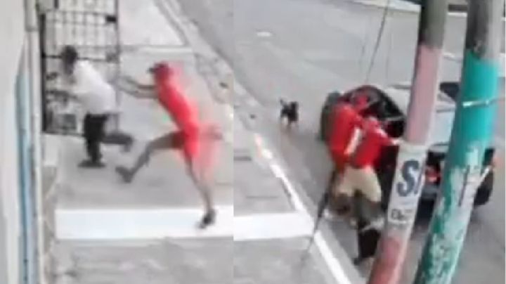 VIDEO | Abuelito iba a ser secuestrado, pero sus perritos lo defienden y se hacen virales