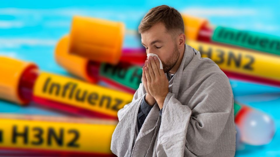 La variante del virus H3N2 se originó en cerdos en 2010 y ha evolucionado con síntomas poco comunes, como el vómito y la diarrea.