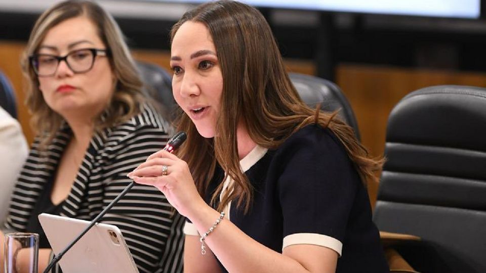 Noemí Luna, diputada del PAN.