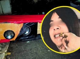 Caso Yareth Alexandra: Lo que sabemos de la mujer secuestrada en Tecámac y hallada en una bocina