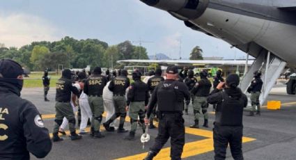 Fuerzas federales detienen a 12 personas en Michoacán