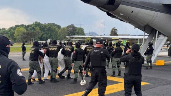 Fuerzas federales detienen a 12 personas en Michoacán