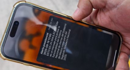 Prohibir uso de celulares en horario escolar, pide diputado federal del PVEM