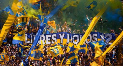 ¿Dónde celebrará Tigres si es campeón? Macroplaza o Estadio Universitario