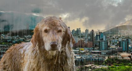 Clima en Monterrey: ¿Llovera el lunes 15 de diciembre?