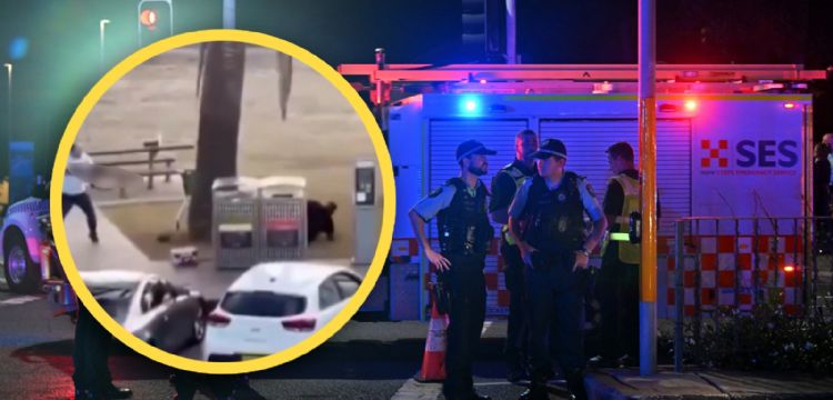 Se registra tiroteo durante celebración judía en Sídney; hay al menos 12 muertos