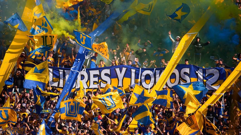 Aficionados de Tigres esperan definir la sede de los festejos en caso de campeonato en la Final del Apertura 2025.