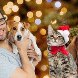 Navidad 2025 y Día de Reyes: Piensa dos veces antes de regalar mascotas; ellas te lo agradecerán