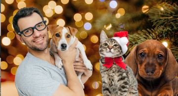 Navidad 2025 y Día de Reyes: Piensa dos veces antes de regalar mascotas; ellas te lo agradecerán