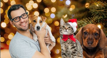 ¿Cómo cuidar a tus mascotas durante las celebraciones navideñas?