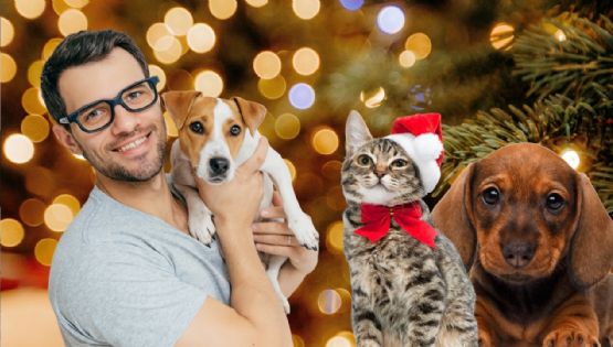 Navidad 2025 y Día de Reyes: Piensa dos veces antes de regalar mascotas; ellas te lo agradecerán