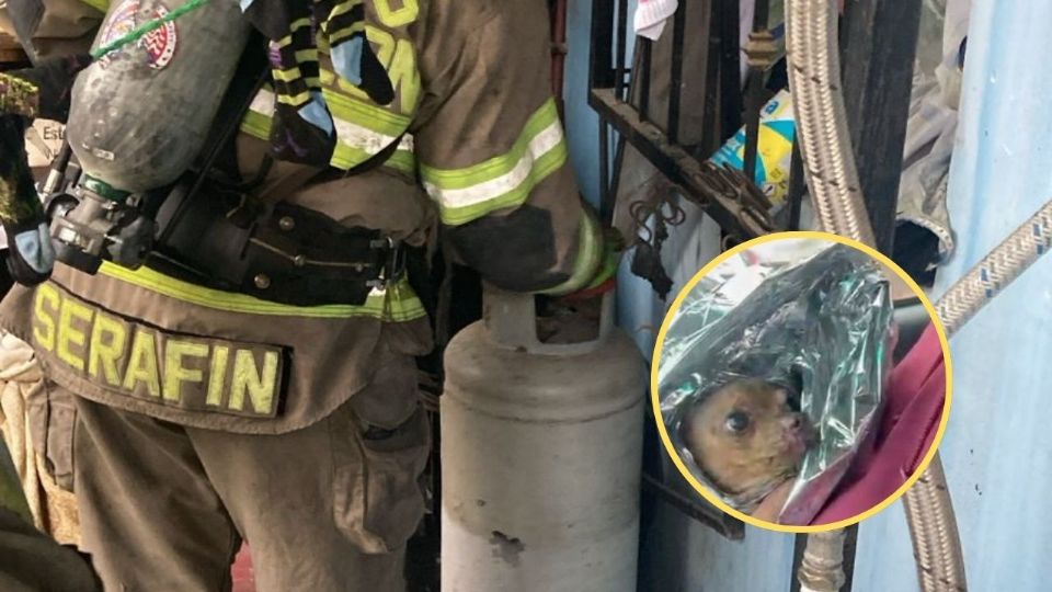 Elementos de Protección Civil y paramédicos acordonaron la zona tras la explosión del tanque de gas en la colonia Girasoles Cuarto Sector de Escobedo.