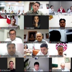 Evelyn Salgado encabeza reunión virtual para reforzar la atención y contención del sarampión en Guerrero