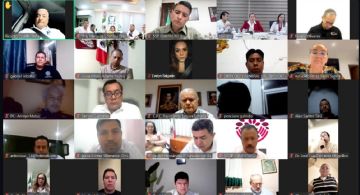 Evelyn Salgado encabeza reunión virtual para reforzar la atención y contención del sarampión en Guerrero