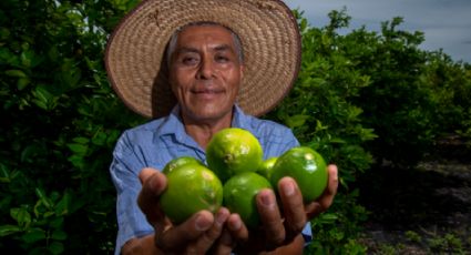 Ante amenazas de bloqueos, Gobierno de México asegura que el campo es prioridad con apoyos directos