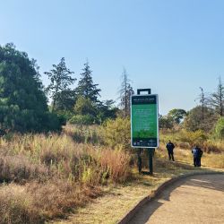 Así encuentran autoridades a un hombre en el Parque Nacional Cerro de la Estrella