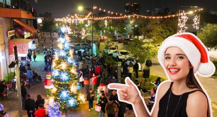 Encendido del pino navideño transforma el Centrito Valle en San Pedro