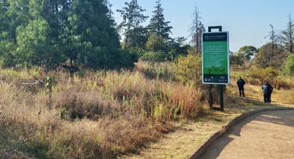 Así encuentran autoridades a un hombre en el Parque Nacional Cerro de la Estrella