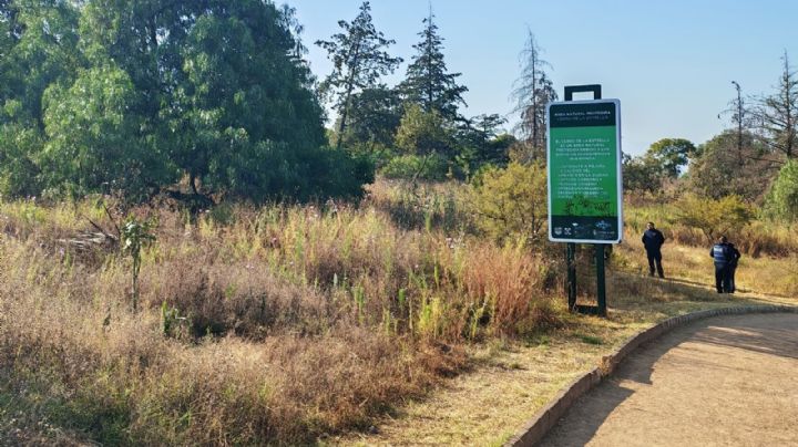 Así encuentran autoridades a un hombre en el Parque Nacional Cerro de la Estrella