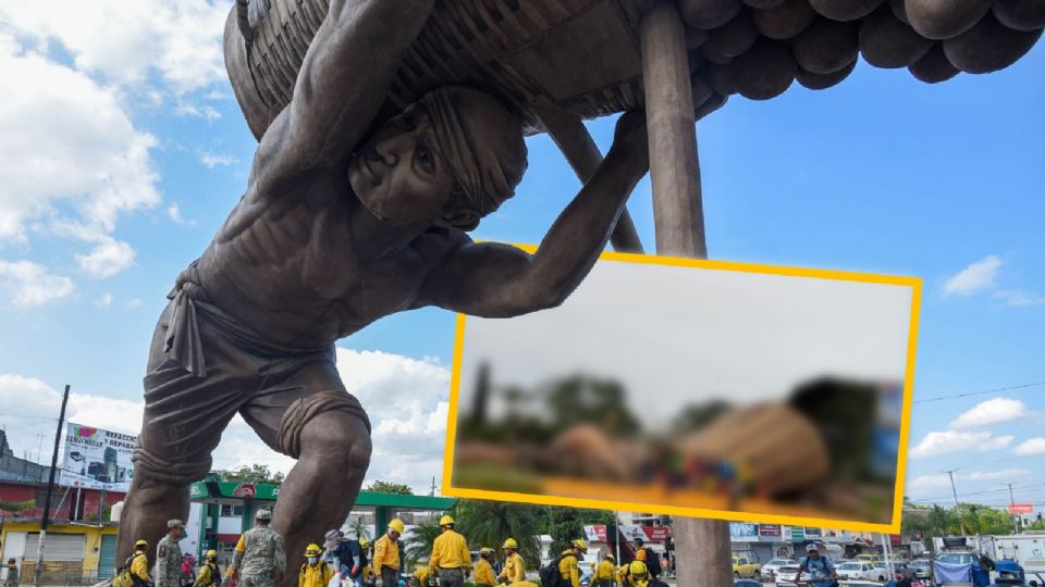 El término colotero se utiliza para nombrar a quienes se dedican a la recolección de naranja.