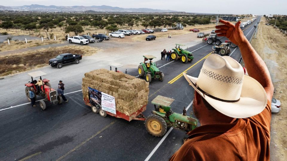 El director del Grupo Consultor de Mercados Agrícolas expuso la disparidad entre precios de origen y precios al consumidor.