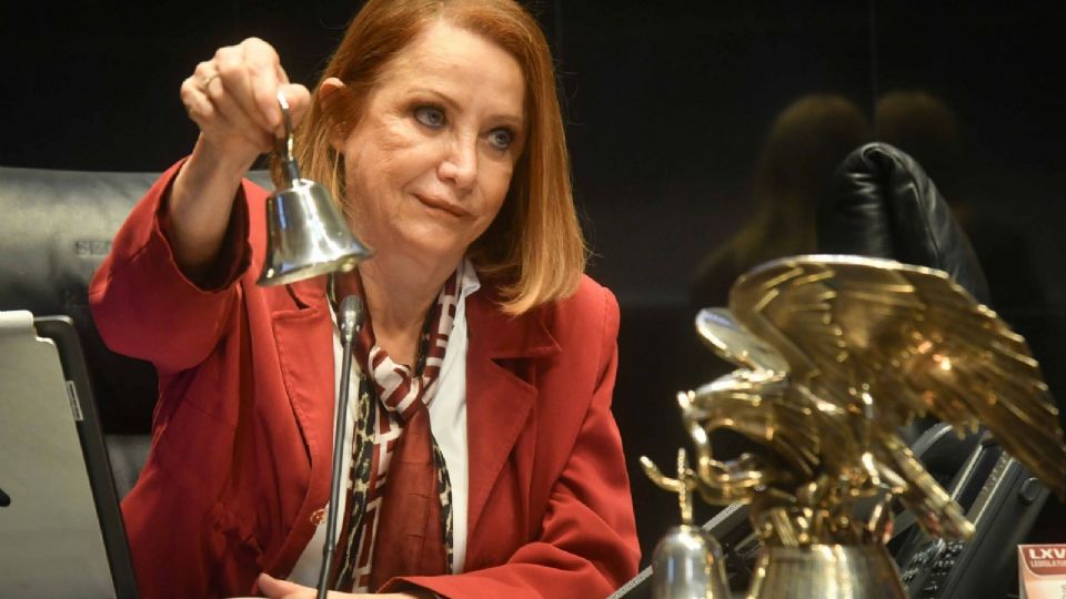 Laura Castillo Juárez pide mayor acción de la ONU por Venezuela.