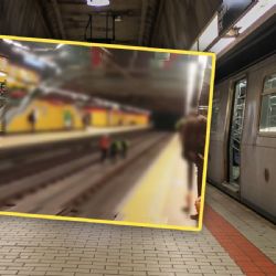 VIDEO | Así fue el rescate de un gato y un perro que se metieron a las vías del Metro en Ecuador