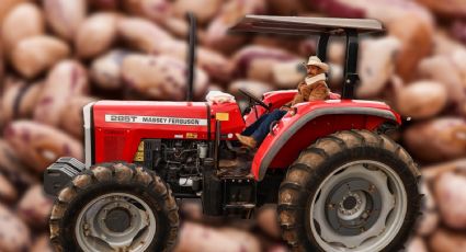 Campesinos logran acuerdo con el Gobierno de México para crear reserva estratégica de alimentos